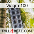 Viagra 100 30